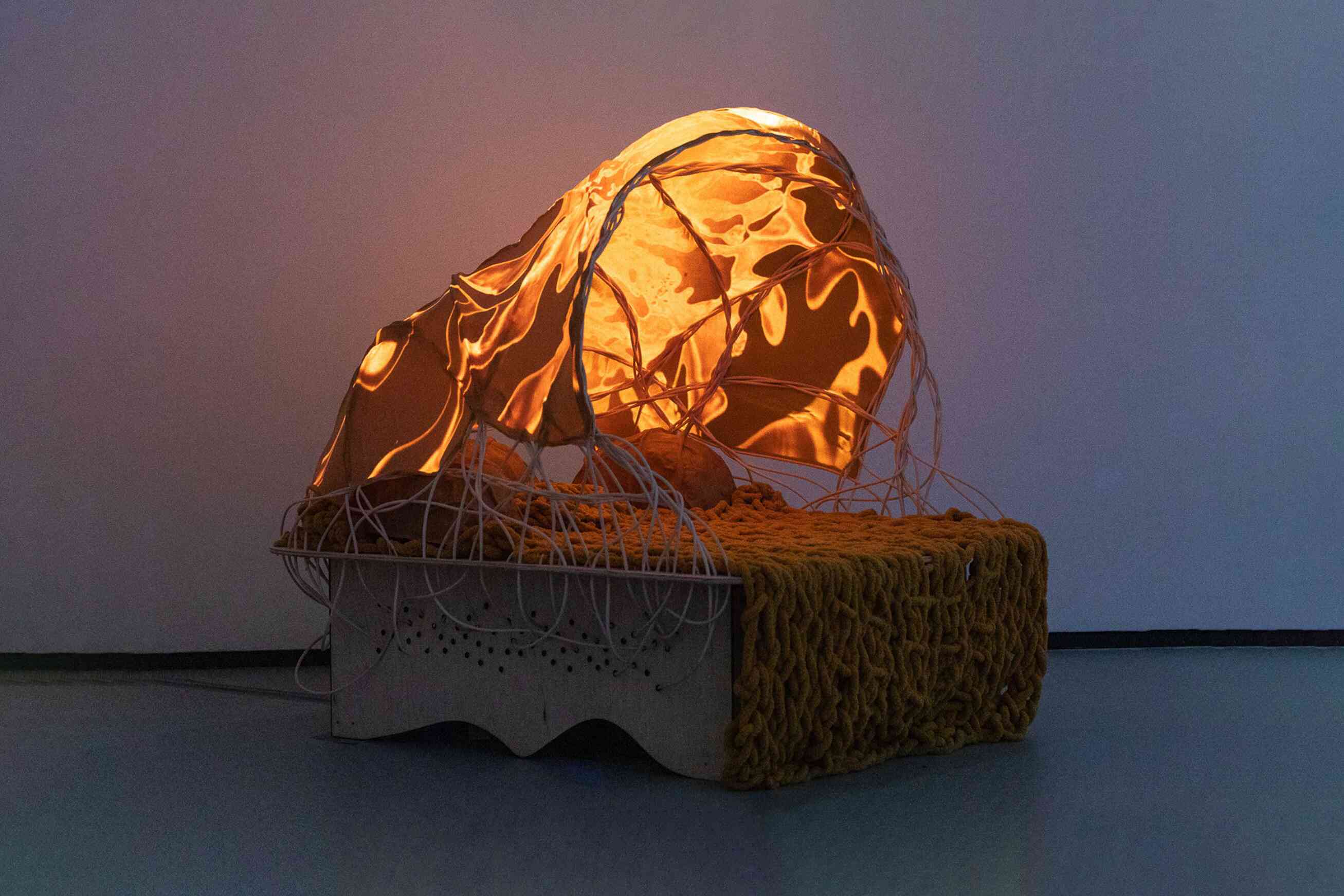 The illuminated Cutis Anserina installation